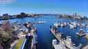 ./images/victoria/wharf/20240331/wharf20240331_131500.jpg