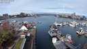 ./images/victoria/wharf/20240402/wharf20240402_102500.jpg