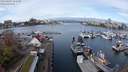 ./images/victoria/wharf/20240402/wharf20240402_104501.jpg