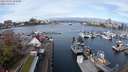 ./images/victoria/wharf/20240402/wharf20240402_105000.jpg