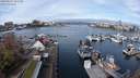 ./images/victoria/wharf/20240402/wharf20240402_105500.jpg