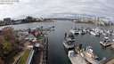 ./images/victoria/wharf/20240402/wharf20240402_125500.jpg