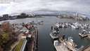 ./images/victoria/wharf/20240402/wharf20240402_131500.jpg