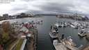 ./images/victoria/wharf/20240402/wharf20240402_135500.jpg