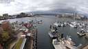 ./images/victoria/wharf/20240402/wharf20240402_140501.jpg