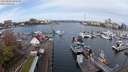 ./images/victoria/wharf/20240403/wharf20240403_094500.jpg