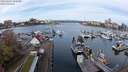 ./images/victoria/wharf/20240403/wharf20240403_100500.jpg