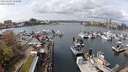 ./images/victoria/wharf/20240403/wharf20240403_133001.jpg
