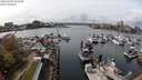 ./images/victoria/wharf/20240403/wharf20240403_145000.jpg