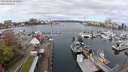 ./images/victoria/wharf/20240404/wharf20240404_103000.jpg