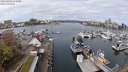 ./images/victoria/wharf/20240404/wharf20240404_113000.jpg