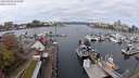 ./images/victoria/wharf/20240404/wharf20240404_113500.jpg