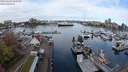 ./images/victoria/wharf/20240405/wharf20240405_094500.jpg