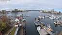 ./images/victoria/wharf/20240405/wharf20240405_105500.jpg