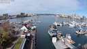 ./images/victoria/wharf/20240405/wharf20240405_111000.jpg