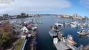 ./images/victoria/wharf/20240405/wharf20240405_112500.jpg