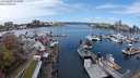 ./images/victoria/wharf/20240405/wharf20240405_121000.jpg