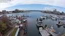./images/victoria/wharf/20240405/wharf20240405_125500.jpg