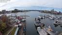 ./images/victoria/wharf/20240405/wharf20240405_140501.jpg