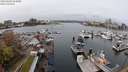 ./images/victoria/wharf/20240406/wharf20240406_124001.jpg
