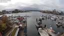 ./images/victoria/wharf/20240406/wharf20240406_154500.jpg