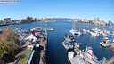 ./images/victoria/wharf/20240413/wharf20240413_112500.jpg