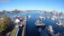 ./images/victoria/wharf/20240417/wharf20240417_091500.jpg