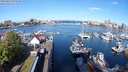 ./images/victoria/wharf/20240422/wharf20240422_091500.jpg