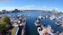 ./images/victoria/wharf/20240422/wharf20240422_125500.jpg