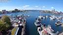 ./images/victoria/wharf/20240422/wharf20240422_130500.jpg