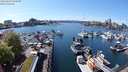 ./images/victoria/wharf/20240423/wharf20240423_144500.jpg