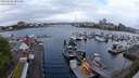 ./images/victoria/wharf/20240428/wharf20240428_081500.jpg