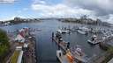 ./images/victoria/wharf/20240429/wharf20240429_114501.jpg