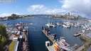 ./images/victoria/wharf/20240429/wharf20240429_125500.jpg