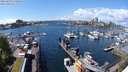 ./images/victoria/wharf/20240429/wharf20240429_133501.jpg