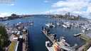 ./images/victoria/wharf/20240429/wharf20240429_140500.jpg