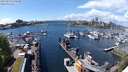 ./images/victoria/wharf/20240429/wharf20240429_141000.jpg