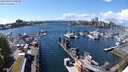 ./images/victoria/wharf/20240429/wharf20240429_144501.jpg