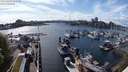 ./images/victoria/wharf/20240429/wharf20240429_162501.jpg