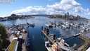 ./images/victoria/wharf/20240430/wharf20240430_145500.jpg