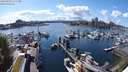 ./images/victoria/wharf/20240430/wharf20240430_155500.jpg