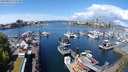 ./images/victoria/wharf/20240501/wharf20240501_115500.jpg