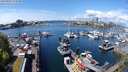 ./images/victoria/wharf/20240501/wharf20240501_124500.jpg