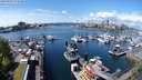 ./images/victoria/wharf/20240501/wharf20240501_125500.jpg