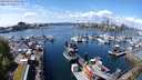 ./images/victoria/wharf/20240501/wharf20240501_132501.jpg