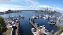 ./images/victoria/wharf/20240501/wharf20240501_141000.jpg