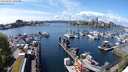 ./images/victoria/wharf/20240501/wharf20240501_141500.jpg