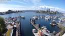 ./images/victoria/wharf/20240501/wharf20240501_142000.jpg