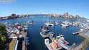 ./images/victoria/wharf/20240502/wharf20240502_121501.jpg