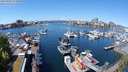 ./images/victoria/wharf/20240502/wharf20240502_122000.jpg